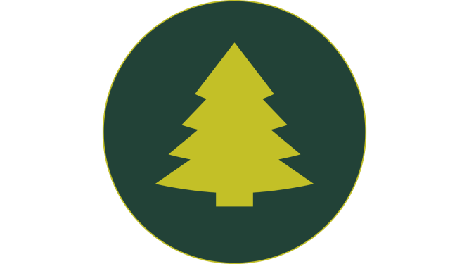 Planta mi Árbol Presentación (1)_preview_rev_1