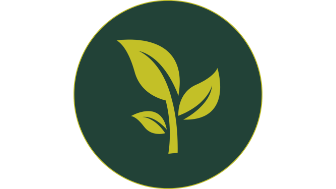 Planta mi Árbol Presentación (2)_preview_rev_1